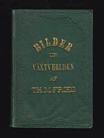 Bilder ur v&auml;xtverlden. Popul&auml;ra f&ouml;redrag