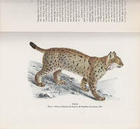 Svenskt djurliv i mark och h&auml;vd