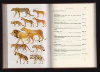 A Field Guide to the National Parks of East Africa