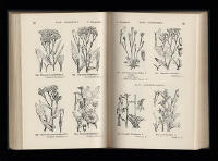 Illustrations of the British Flora. A Series of Wood Engravings, with Dissections of British Plants