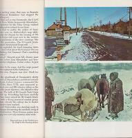 Scorched Earth. Hitler's War on Russia, Volume 2 (av 2)