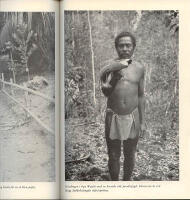 Vildar och paradisf&aring;glar. Skildringar fr&aring;n en forskningsf&auml;rd till Nya Guinea
