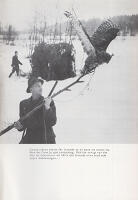 Allt om kr&aring;kskytte