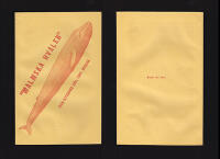 N&aring;gra blad om hvaldjur i allm&auml;nhet och Bal&aelig;noptera Carolin&aelig; i synnerhet