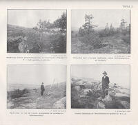 Studier &ouml;ver skogsgr&auml;nserna i norra delen av Lule lappmark. Med 3 tavlor och 10 textfigurer