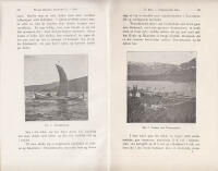 Om Troms&oslash;sundets fiske (Med 4 tekstbilleder)