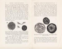 On Thecoyathus Nathorsti n sp., a Neocomian coral from King Charles Land