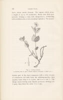The Structure and Biology of Arctic Flowering Plants. II. 2. 9. Cornace&aelig;