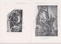 Un nouvel Amiid&eacute; de l'Eoc&egrave;ne du Spitzberg, Pseudamia heintzi par J. P. Lehman