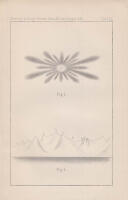Observationer p&aring; luftelektriciteten och polarljuset under 1868 &aring;rs Svenska polarexpedition. Tafl. XII. Meddeladt den 8 September 1869