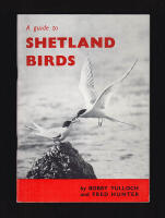 A guide to Shetland birds