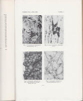 Die d&auml;nischen Schleimpilze. Myxomycetes Daniae