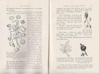 N&aring;gra f&ouml;rlinn&eacute;anska uppgifter ang&aring;ende zoocecidier i svensk botanisk litteratur. Ett bidrag till ceciologiens historia