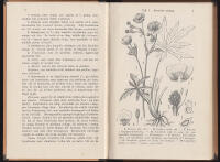 Inledning till botaniken j&auml;mte ett bihang, inneh&aring;llande f&ouml;rklaringar &ouml;fver botaniska termer. Utgifven av J. A. O. Sk&aring;rman. Med 19 taflor och talrika tr&auml;snitt