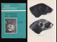 Villmink og ilder. Ved jaktkonsulent dr. Yngvar Hagen