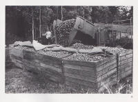 Robertsfors Bildbeskrivning 1978