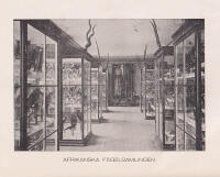 V&auml;nersborgs museums historia