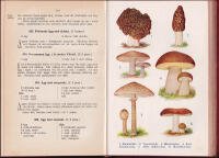 Husmoderns kokbok. Utarbetad av Kerstin Wenstr&ouml;m