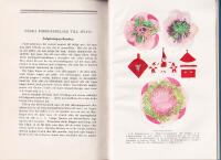 Hemmets stora handbok. Med bidrag av Margaret Berg, Naemi Elg och Gerhard Tauvon. Med 313 textbilder och 4 f&auml;rgplanscher