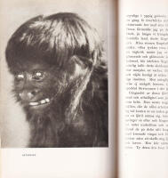 Brasilien - paradis och inferno. Med 48 illustrationer