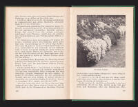 Stenpartiv&auml;xter