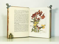 Vi och v&aring;ra blommor. En bok om prydnadsv&auml;xterna inne och ute. I-II