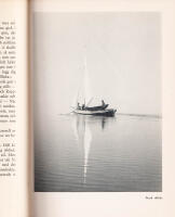 Viltskog. Bilder fr&aring;n hemmamarker och &auml;ventyrsland