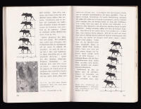 Sp&aring;r och sp&aring;rtecken