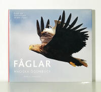 F&aring;glar. Magiska &ouml;gonblick