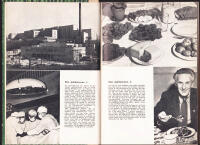 V&aring;ra giftbrunnar. Hur saltet f&ouml;rd&auml;rvar m&auml;nniskan. Ett sorgligt kapitel ur skolmedecinens syndaregister