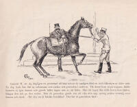 Hugg och mothugg. Anekdoter samlade av G. Ask. Ritade av C. Remper