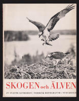 Skogen och &auml;lven