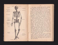L&auml;robok i naturl&auml;ran f&ouml;r folkskolan och hemmet af C. W. Paykull