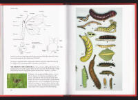 Tr&auml;dg&aring;rdens djur