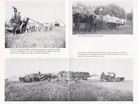 Nybyggarliv i Svensk-Amerika. Minnesbilder och kulturtraditioner