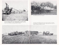 Nybyggarliv i Svensk-Amerika. Minnesbilder och kulturtraditioner