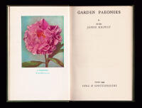 Garden Paeonies (pioner)