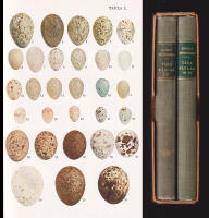 V&aring;ra f&aring;glar och hur man k&auml;nner igen dem. Illustrerad fickbok. I-IV