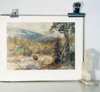 Jakt i Norden. Jakts&auml;tten skildrade i bild och ord