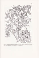 Potatisen. Odlingshistoria och anv&auml;ndning