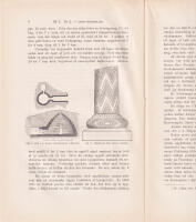 Fynden fr&aring;n Mykenai. F&ouml;redrag h&aring;llet den 19 januari 1878