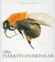 Mina insektsvandringar