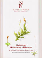 Bladmossor: Sk&ouml;ldmossor - bl&aring;mossor. Bryophyta: Buxbaumia - Leucobryum [AJ 6-23]