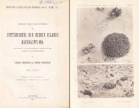 Bidrag till k&auml;nnedomen om Spetsbergens och Beeren Eilands k&auml;rlv&auml;xtflora grundade p&aring; iakttagelser under 1898 &aring;rs svenska polarexpedition. Med 4 taflor. Meddeladt den 10 januari 1900. Granskadt af V. Wittrock och A. G. Nathorst