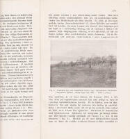 Iakttagelser &ouml;ver fj&auml;llbj&ouml;rkskogens &ouml;vre begr&auml;nsning och ekologi i Sveriges nordliga Lappmarker