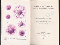 British knapweeds. A study in synthetic taxonomy