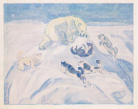 Isviddernas hj&auml;ltar. Polarforskningens historia genom tiderna ber&auml;ttad f&ouml;r ungdom i alla &aring;ldrar