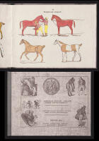 Agsiligsat Nunanit Avdlanit Pissut Navsuiautigdlit. Billeder fra andre lande med forklaringer