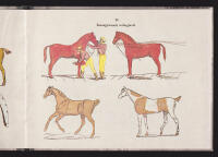 Agsiligsat Nunanit Avdlanit Pissut Navsuiautigdlit. Billeder fra andre lande med forklaringer