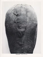 Abakanowicz. Organic structures. Malm&ouml; konsthall 26.2 - 11.4 1977